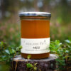 Honey from coastal meadows, bogs and forest 500 g