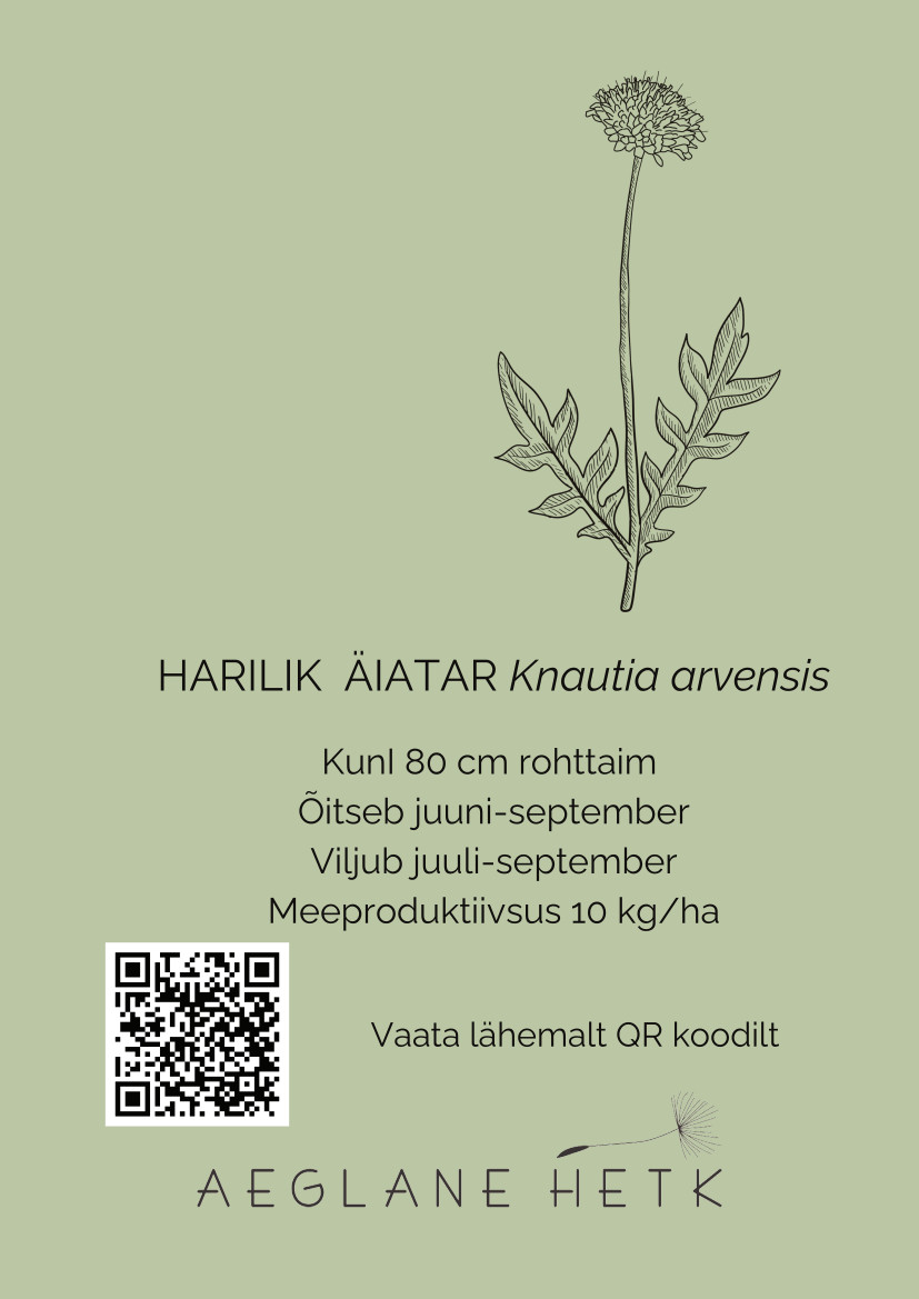 Harilik äiatar